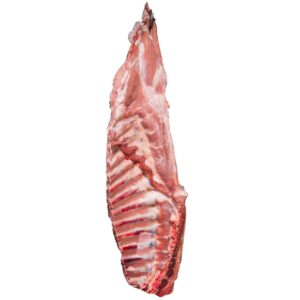 Kalb Brust frisch