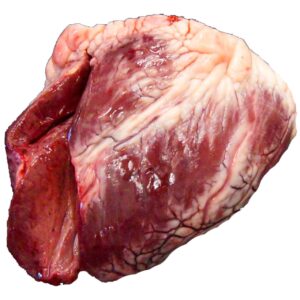 Kalb Herz TK