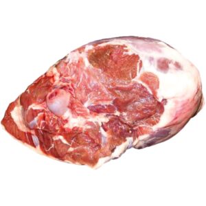Lamm Schlögl Femur TK Stk