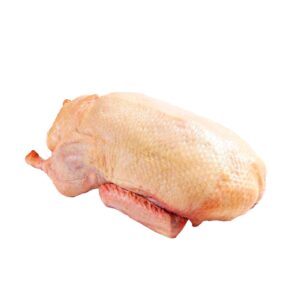 Ente TK 2,1 kg