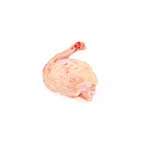 Wachtel Supreme frisch 10 Stk