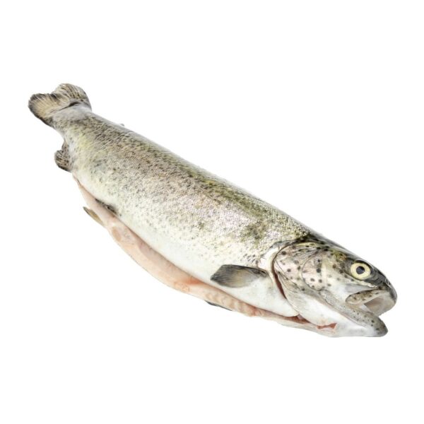 AT Forellen frisch Vac ausgenommen
Oncorhynchus mykiss / Aquakultur Österreich / 03044290