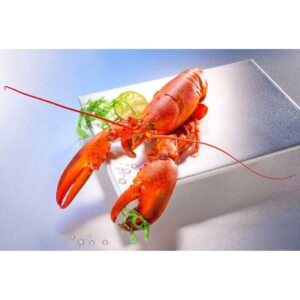 Hummer im Eisblock TK 325g
Homarus americanus / 16055200