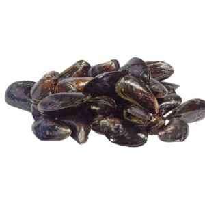 Miesmuscheln TK 50/65 gekocht in Schale 1kg
Mytilus Edulis / 16055390