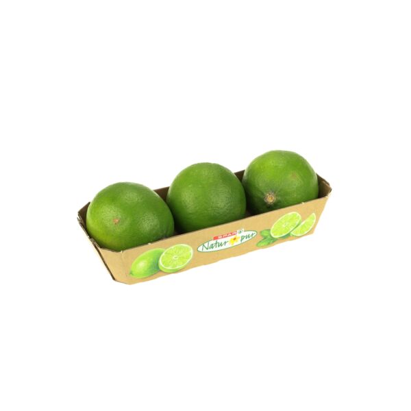 Limetten 4 Stk Tasse