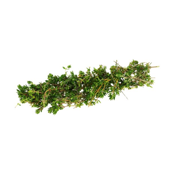 Thymian 20g Bund