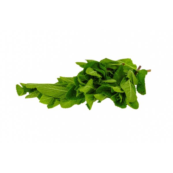 Minze 20g Bund