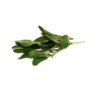 Salbei 20g Packung