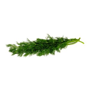 Dill 30g