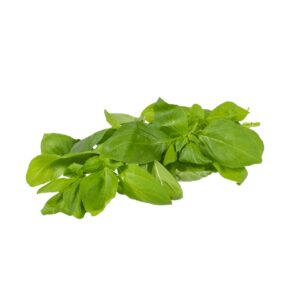 Spar Basilikum frisch 20g