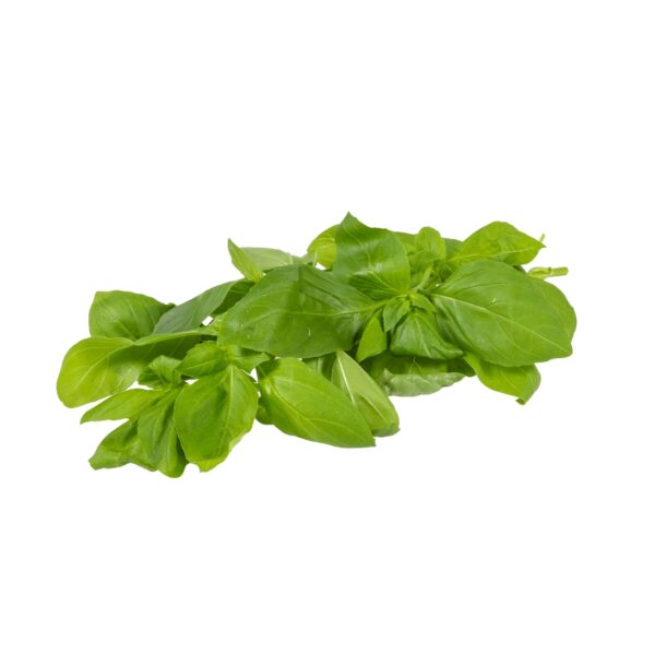 Spar Basilikum frisch 20g
