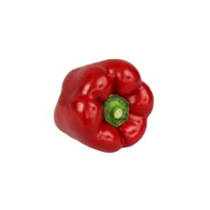 Paprika Stk rot