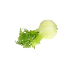 Fenchel lose