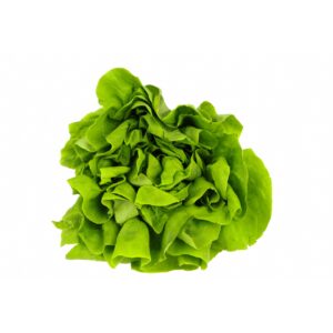 Kopfsalat Kl 1