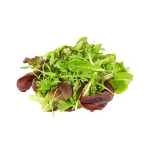 Jungsalat 125g Packung