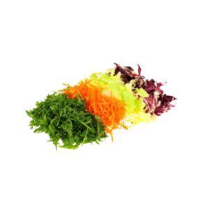 Bunter Bio Salatmix 200g