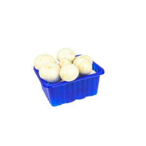 Champignon 250g Tasse