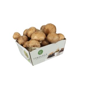 Champignons 200g Tasse braun