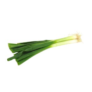 Jungzwiebel Kl 1 Bund
