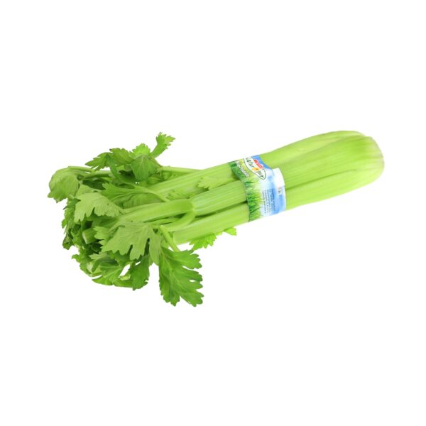 Stangensellerie Stk
