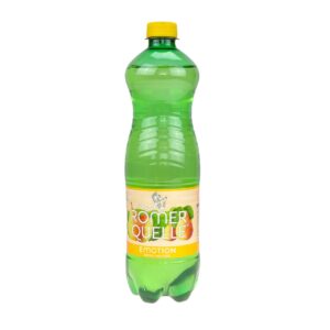 Rö.Emotion Birne-Melisse 0,75l PET