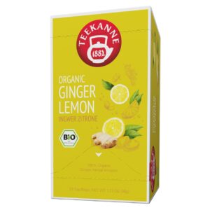 Tee Teekanne 20 Beutel Ingwer Zitrone