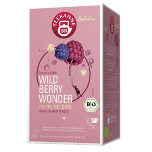 Bio Tee Teekanne 25 Beutel Wild Berry Wonder Pyramide