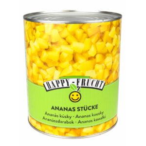 HF Ananasstücke 3100ml
