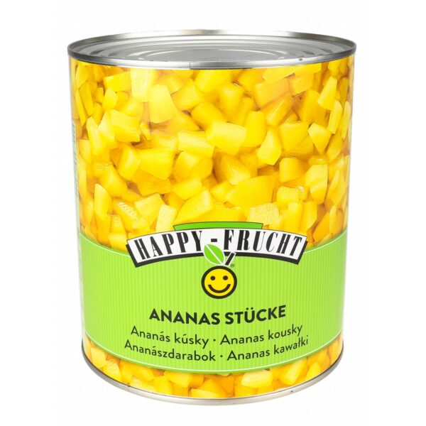 HF Ananasstücke 3100ml