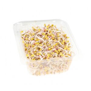 Bio Sprossen mix 4x100g Deutschland