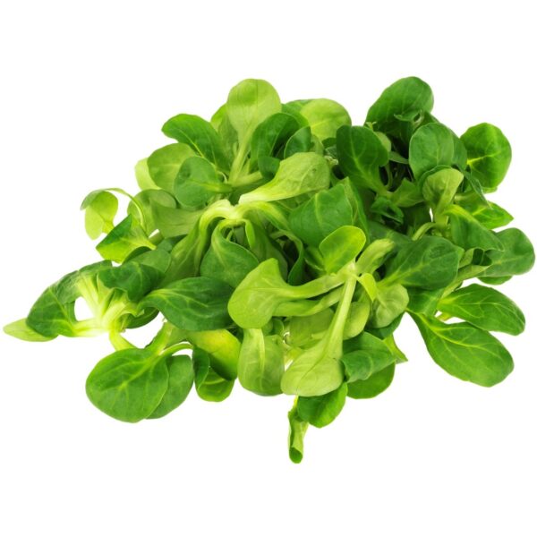 Vogerle 500g